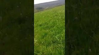 جولة في طبيعة خلابة وصوت عصافير
