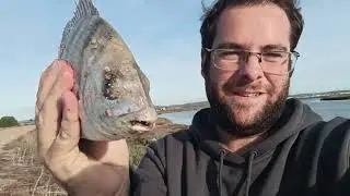Video dedicado a Soledad Perez | 🐟🎣 Jornada Express con un buen Sargo #pesca #surfcasting #cadiz