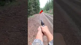 Охота на рябчика с револьвером 22LR!!! #приключение #охота #охота #длятебя #наприроде #братан #ин...