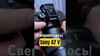 Sony A7 V. Работа над ошибками #sony #sonyalpha #sonya7v