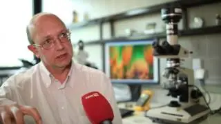 Pharmazie: Polymorphie von Arzneistoffen