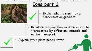 CB6c part 1 Absorbing water and mineral ions