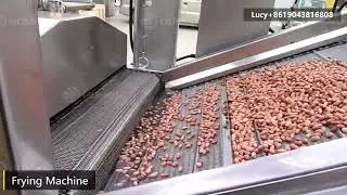 Good Quality Frying Equipment Deep Fryer With Single Tank Peanut Frying Machine