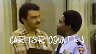 Classic TV Theme: Carter Country (Pete Rugulo)