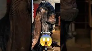 Damascus Goat - The Creepiest Goat🐐! #shorts