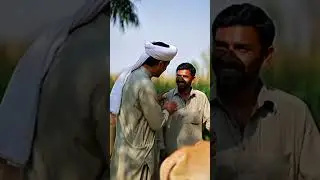 Imran Khan in village Episode 1-