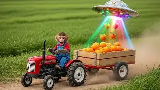 Baby Monkey NaNa vs UFO: Epic Orange Theft Chase! 🍊🛸💨 | Monkey DLuffy Farm