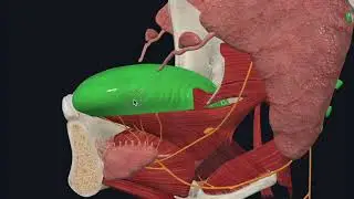 Modele 3D