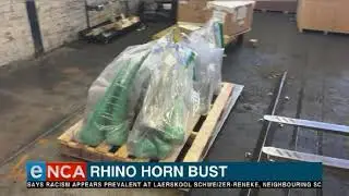 Police make Rhino horn bust