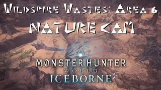 Wildspire Wastes: Area 6 Nature Cam