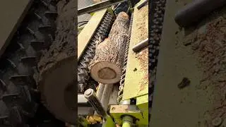 Wood peeling machine factory work process