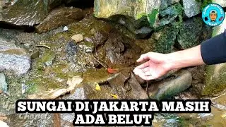 Mancing belut di sungai kota jakarta belutnya kuat kuat dan ada yang keluar sarang 😮 | ngurek mania