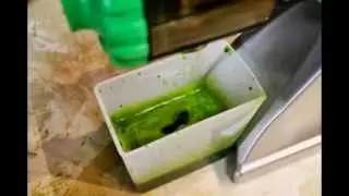 Tribest Z Star : The Best Manual Wheatgrass Juicer