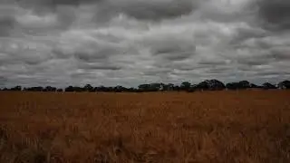 Time lapse of the sun rising and setting on a barley crop