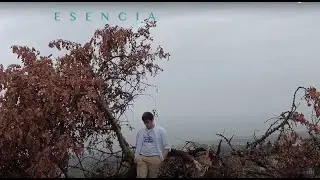 TC13 - ESENCIA
