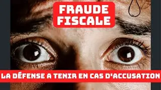 FRAUDE FISCALE : Se d&eacute;fendre et &eacute;viter les sanctions ?