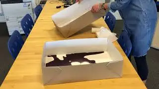 Demo Leak Proof Meat Box in Solidboard
