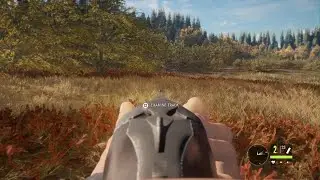 I hunted for rabit in hunters call of the wild