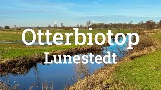 Otterbiotop Beverstedt Lunestedt - Nature Walk - Januar 2024 - 60 FPS