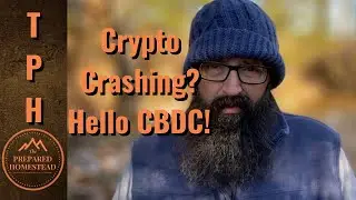 Crypto Crashing? Hello CBDC!