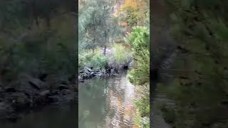 #nature #water #curiosity #suspense #shortvideo #shortsfeed #ytshort #shorts