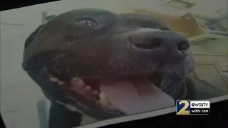 Family claims police excessive force in dog shooting