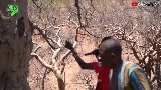 THE HISTORY BEHIND BAOBAB TREES IN NAMIBIA..