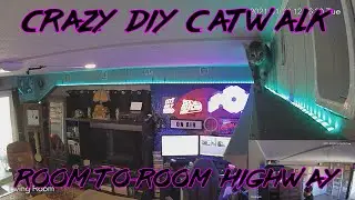 Cats Use Room-To-Room Cat Highway To Traverse House
