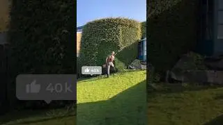 Lawn#agriculture #farming #lawncare #grass cutting machine#turfcare# mower#