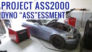 Dyno 