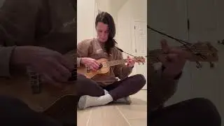 Pumped up kicks broken down acoustic cover by Lelica #pumpedupkicks  #coversong #fosterthepeople