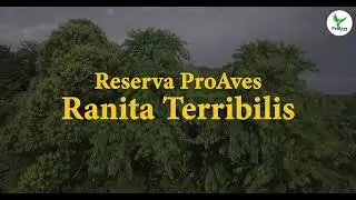 Reserva ProAves Ranita Terribilis | Fundaci&oacute;n ProAves de Colombia