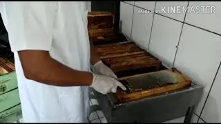 Mesa desoperculadora faça você mesmo. #apicultura