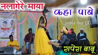 Sapera Babu CG Songs // Sanjeevan tandiya Stage program #patta_live_cg