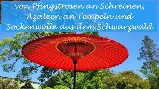 FrauLitzi - ein wolliger Strickpodcast aus Japan #38