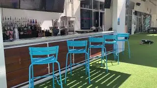 Second adult playground, Park & Rec, opens in Tampa