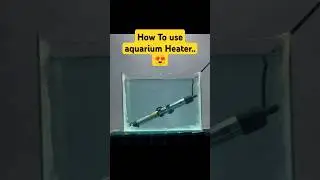 How to use aquarium Heater 🐠 #aquariumfish #fishtanksetup #petsvlog #heater #shorts #trending