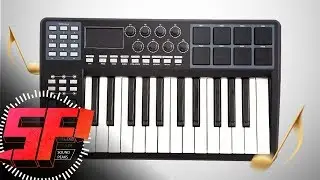 Worlde (Ammoon) Panda 25 MIDI Controller overview