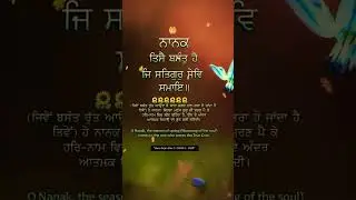 #ekonkargurbani #gurbanikirtan #moolmantra #ekonkar #trendingshorts #viralvideo