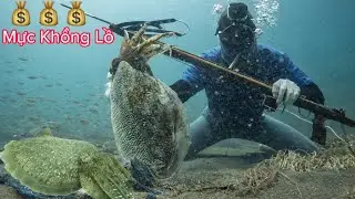 Lặn Theo Những Góc Chà Lâu Nặm B.ắ.t Con Mực Nang Khổng Lồ | Tập 29