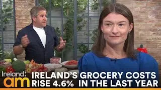 Explained Ireland&rsquo;s Grocery Costs Rise 4.6% & How to Shop on a Budget