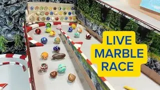 MARBLE RACING WAS LIVE. MARBLE RACE. MARBLE RUN. ASMR. Billes. 