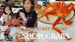 How to buy, peel and eat SNOW CRABS at Noryangjin Market, Seoul, Korea