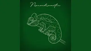 Mantis