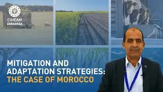 Climate change adaptation and mitigation in Morocco: Interview with Rachid Mrabet (INRA)