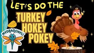 Turkey Hokey Pokey | Fun Thanksgiving Dance Song for Kids
