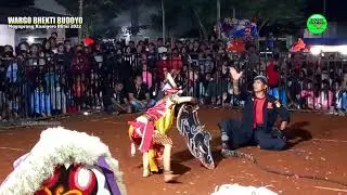 Perang Celeng Srenggi Jaranan WBB Wargo Bhekti Budoyo Live Nggaprang Kanigoro Blitar 2022