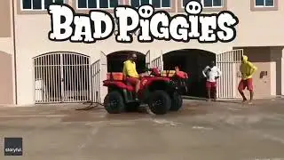 bad piggies