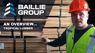 Baillie Lumber Tropical Hardwood Lumber Overview- Cove City, NC