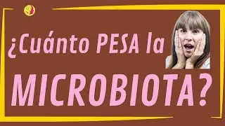 ¿Afecta la Menopausia a nuestra Microbiota? ... y mucho Más